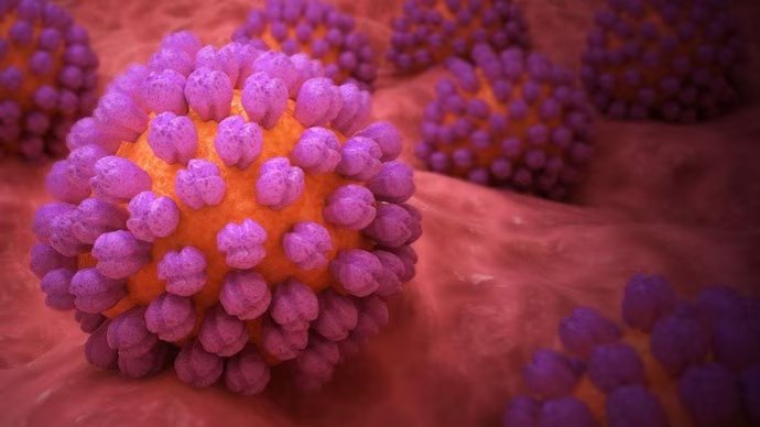 Visual Representation for norovirus | Credits: Getty images