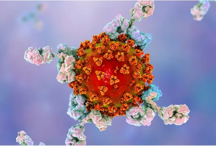 Outbreak of Measles IN Georgia