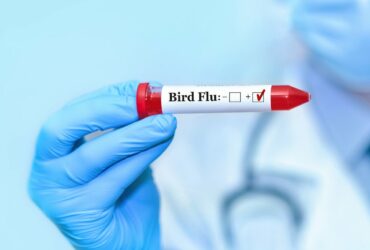 Visual Representation for bird flu testing | Credits: Getty Images